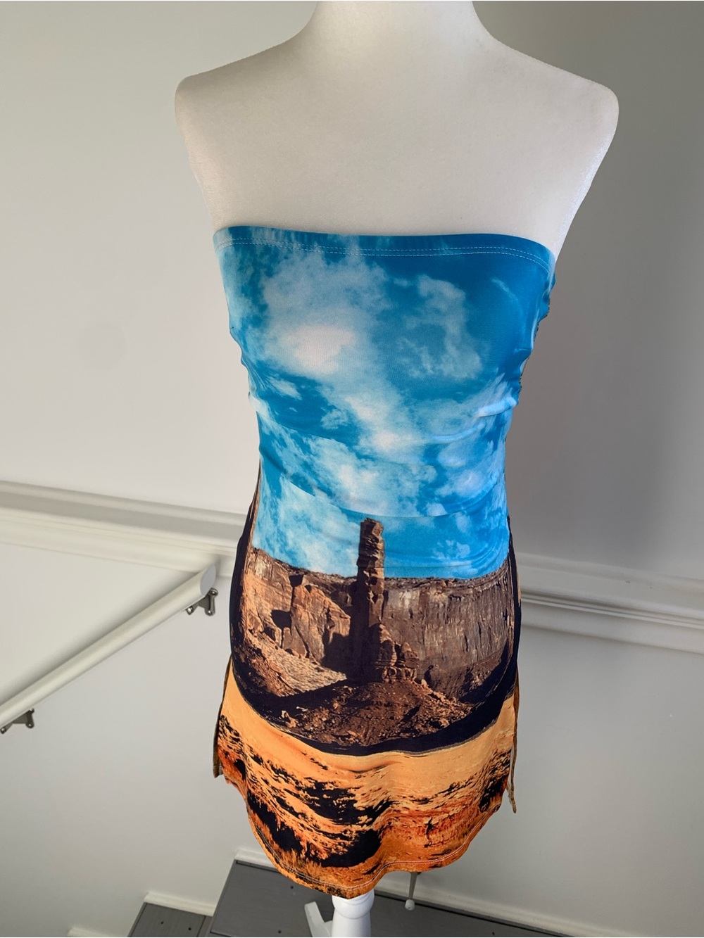 Vintage Sky and Desert Print Strapless Mini Skirt